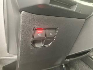 RENAULT Scenic usata 24