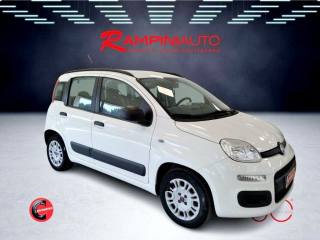 FIAT Panda usata 4
