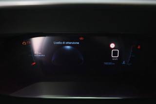 PEUGEOT 2008 usata 6