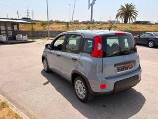 FIAT Panda usata, con Airbag Passeggero