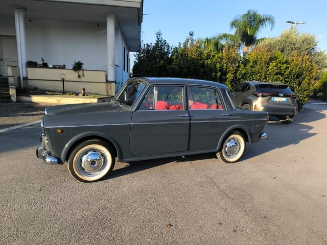 FIAT 1100 usata 4
