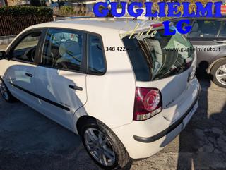 VOLKSWAGEN Polo usata, con Alzacristalli elettrici