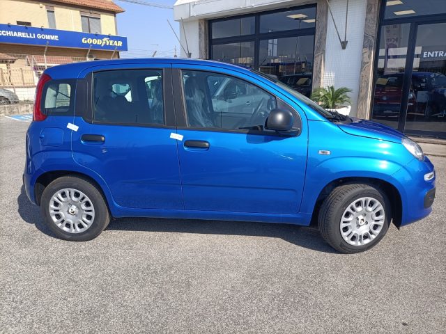 FIAT Panda usata, con Controllo trazione
