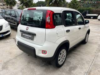 FIAT Panda usata, con Boardcomputer
