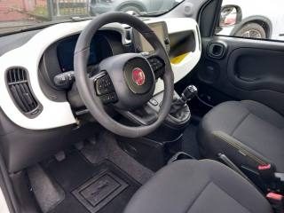 FIAT Panda usata, con Servosterzo