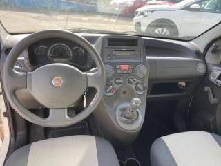 FIAT Panda usata 12