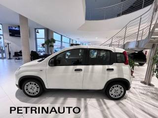 FIAT Panda usata, con Antifurto
