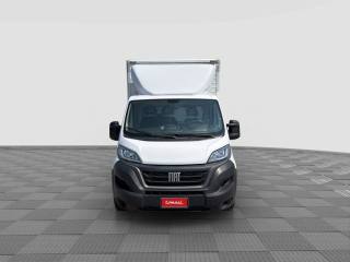 FIAT Ducato usata 6