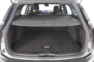 FORD Focus usata 5