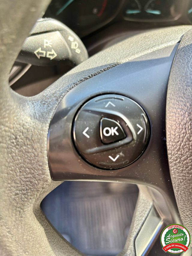 FORD Tourneo Connect usata, con Cruise Control