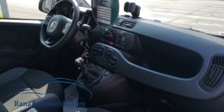 FIAT Panda usata, con Fendinebbia