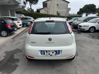 FIAT Punto usata, con Chiusura centralizzata