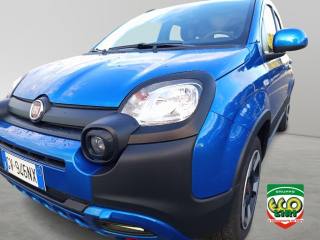 FIAT Panda Cross usata 16
