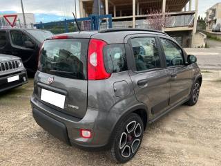 FIAT Panda usata 5