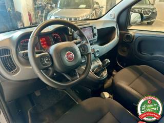 FIAT Panda usata, con Chiusura centralizzata
