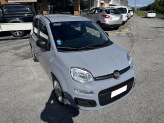 FIAT Panda usata, con Climatizzatore