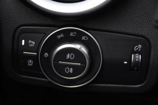 ALFA ROMEO Stelvio usata, con Volante multifunzione