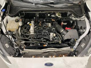 FORD Focus usata, con Immobilizzatore elettronico