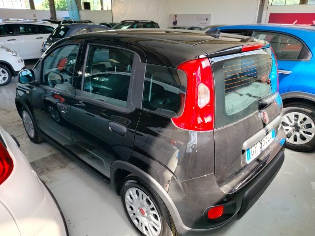 FIAT Panda usata, con Climatizzatore
