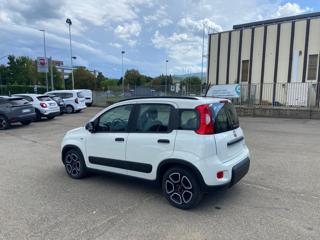 FIAT Panda usata, con Boardcomputer