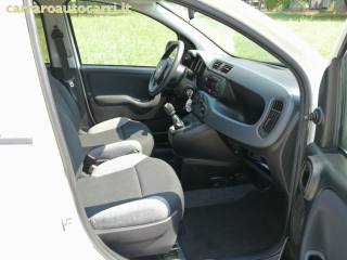 FIAT Panda usata, con Servosterzo