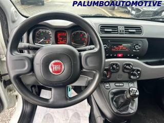 FIAT Panda usata, con Fendinebbia