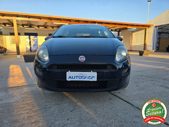 FIAT Punto usata, con Airbag