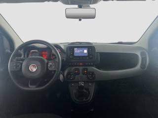 FIAT Panda usata 10