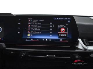 BMW X2 usata 13