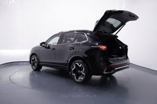 VOLKSWAGEN Tiguan usata 43