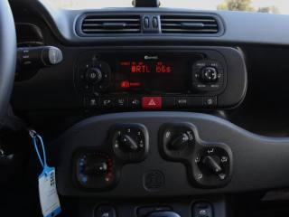 FIAT Panda usata, con Cronologia tagliandi