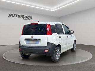 FIAT Panda usata, con Airbag Passeggero