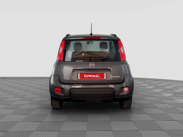 FIAT Panda usata 3