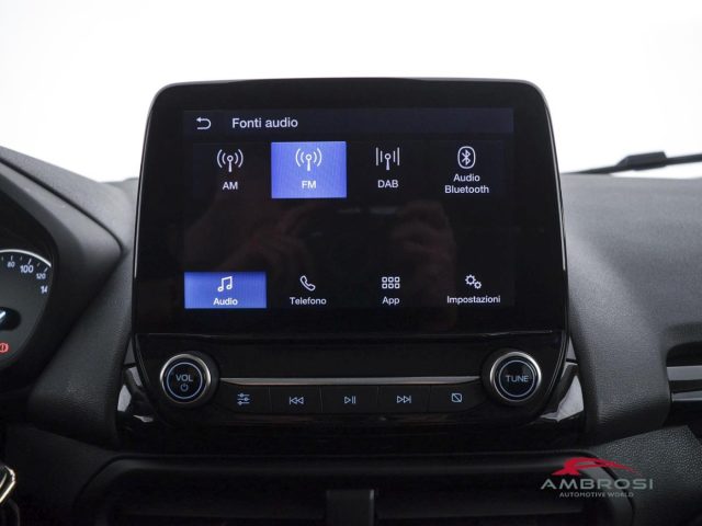 FORD EcoSport usata 14