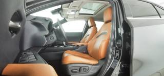 LEXUS UX 250h usata 68