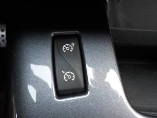 RENAULT Scenic usata, con Specchietto retrovisore con funzione antiabbagliamento