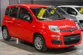 FIAT Panda usata, con Airbag Passeggero