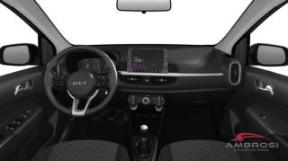 KIA Picanto usata 8