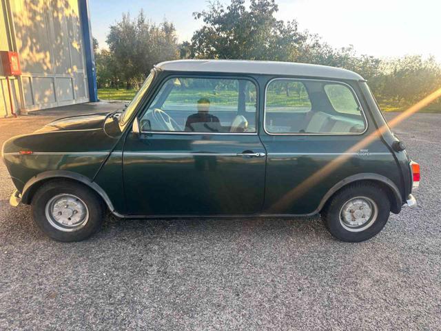 AUSTIN Mini Moke usata 4