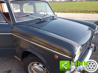 FIAT 1100 usata 56