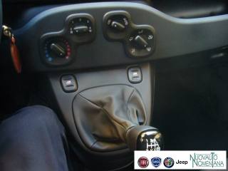 FIAT Panda usata 22