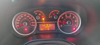 FIAT Doblo usata 19