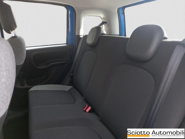 FIAT Panda usata, con Airbag testa