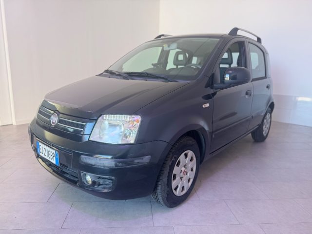 FIAT Panda usata 2