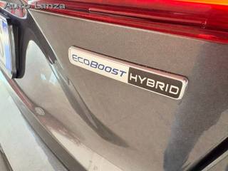 FORD Focus usata, con Fendinebbia