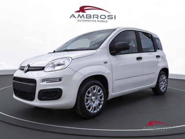 FIAT Panda usata 0