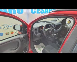 FIAT New Panda usata, con Chiusura centralizzata
