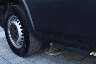 MERCEDES-BENZ Sprinter usata 46