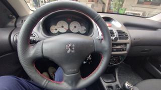 PEUGEOT 206 usata 18