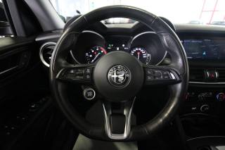ALFA ROMEO Stelvio usata, con Cronologia tagliandi